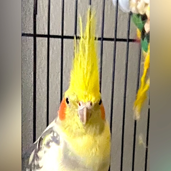 Meet your Posher, Jen - Picture 7 of 12